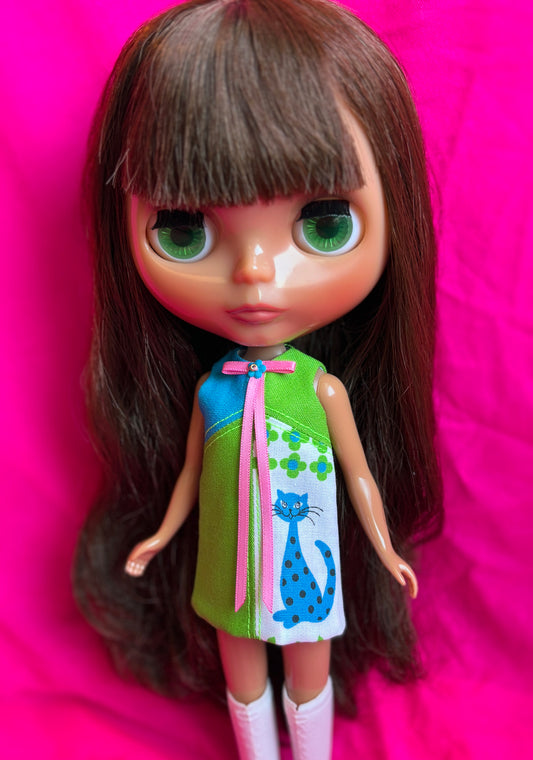 What's New Pussycat? Color Block Mod Shift Mini Dress