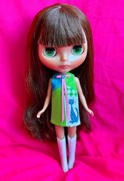 What's New Pussycat? Color Block Mod Shift Mini Dress