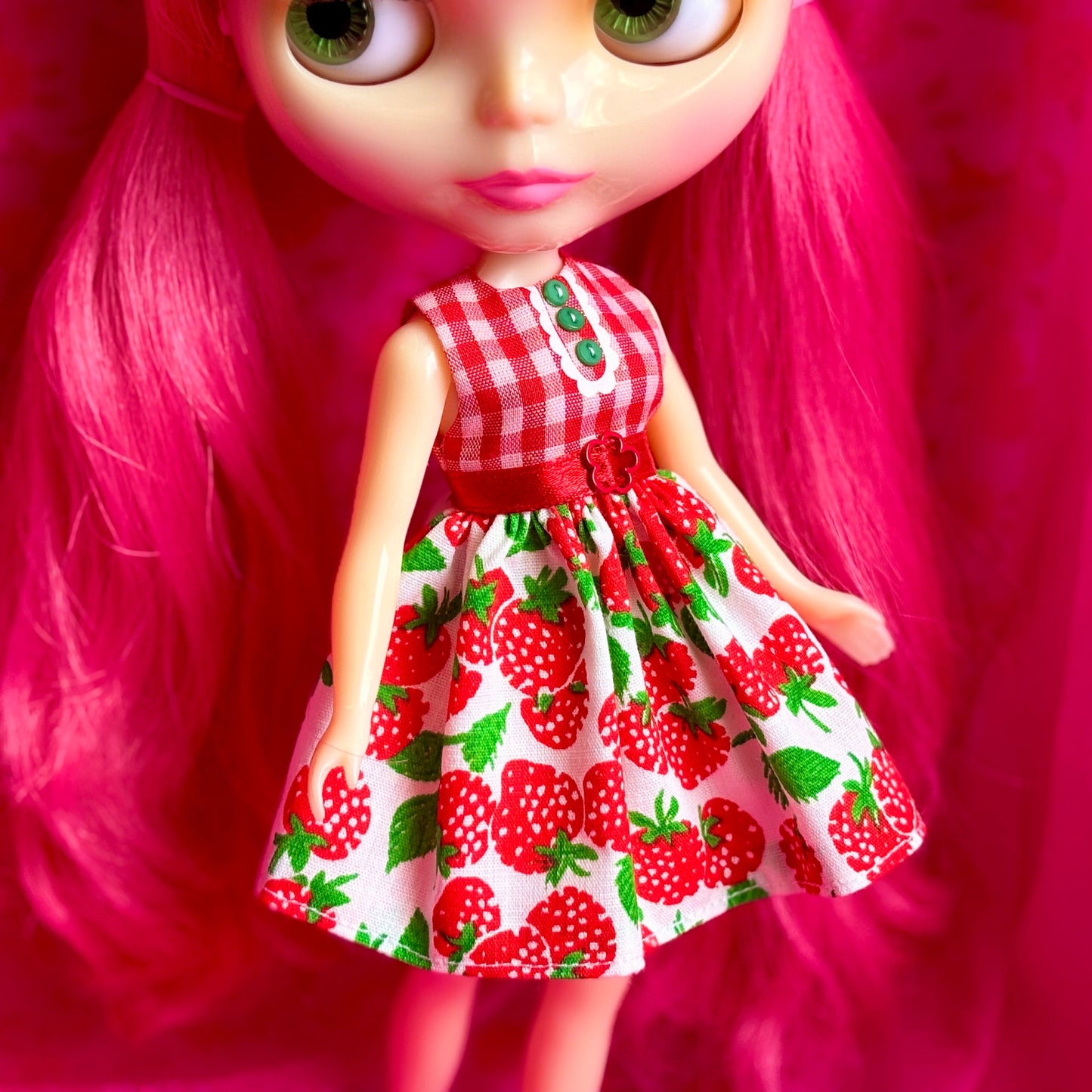 Strawberry Picnic Retro Flare Dress